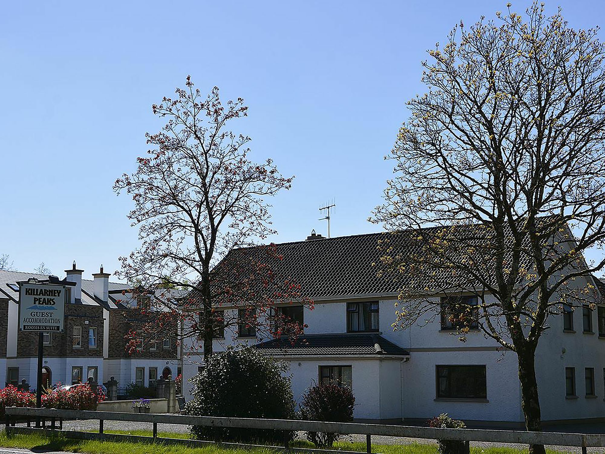 Killarney Peaks Guesthouse מראה חיצוני תמונה