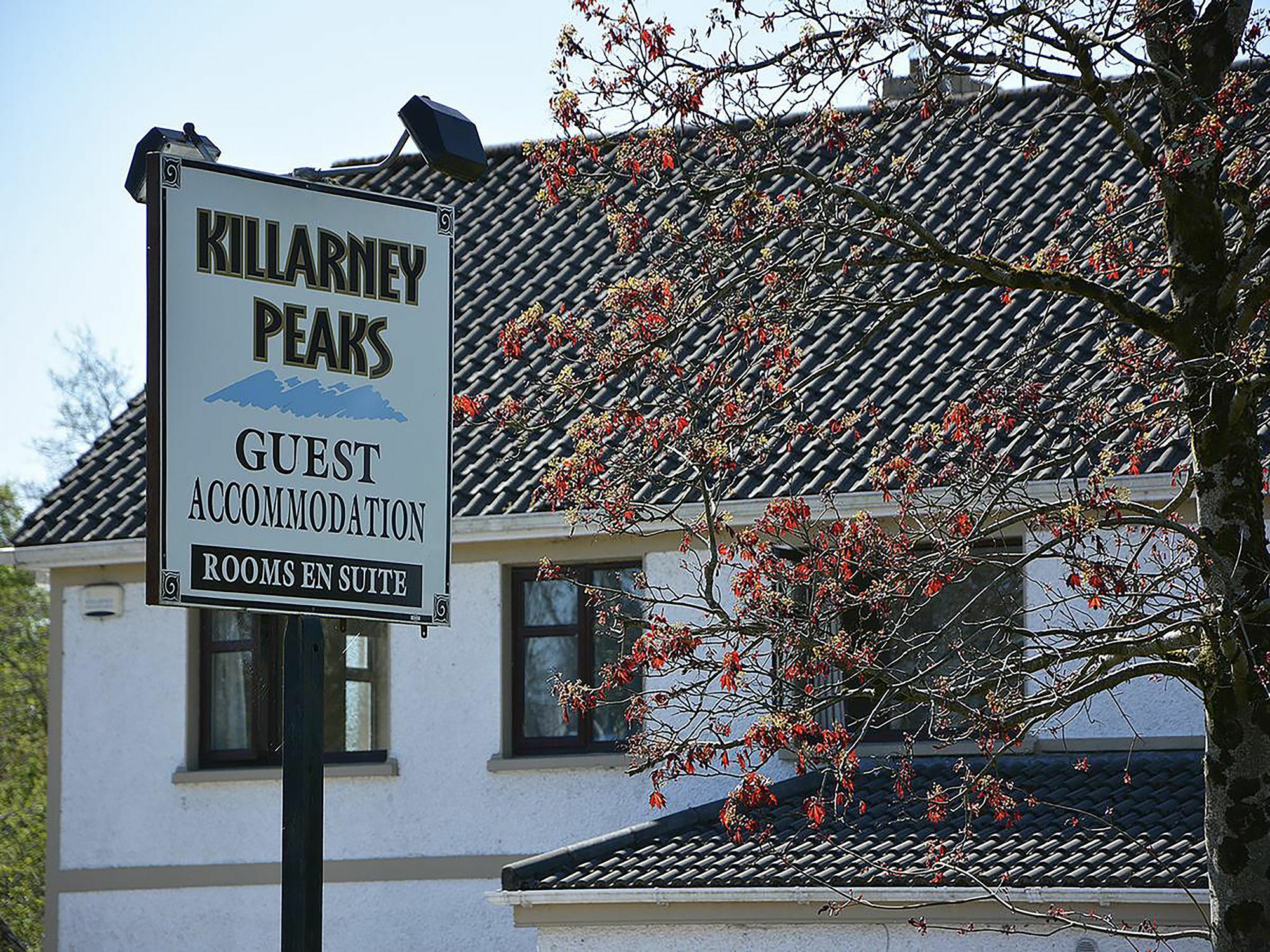 Killarney Peaks Guesthouse מראה חיצוני תמונה
